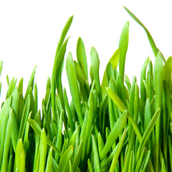 Similar image 163517