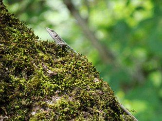 Similar image 163525