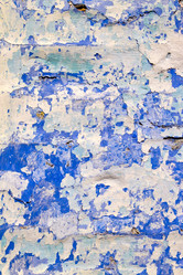 Similar image 163535