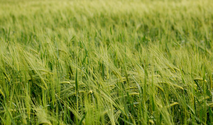 Similar image 163590