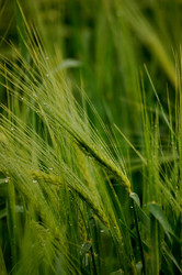 Similar image 163591