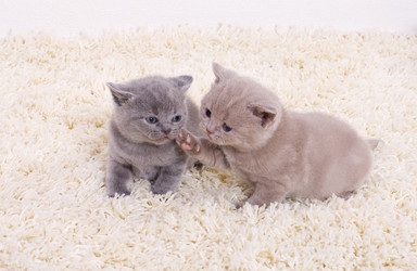 Similar image 163597