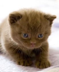 Similar image 163598