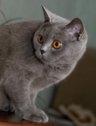 Similar image 163599