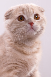 Similar image 163601