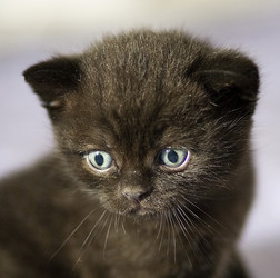 Similar image 163602