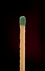 Similar image 163617