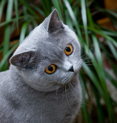 Similar image 163621