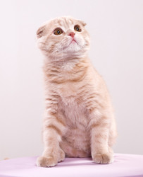 Similar image 163624