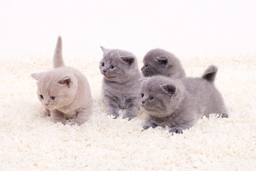 Similar image 163625