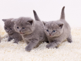 Similar image 163627