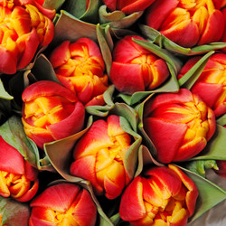 Similar image 163692