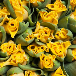 Similar image 163696