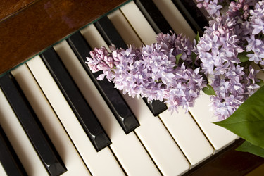 Similar image 163713