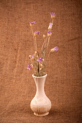 Similar image 163719