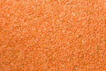 Similar image 163736