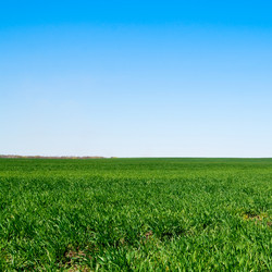 Similar image 163741