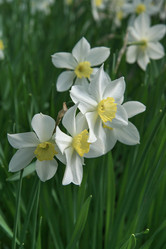 Similar image 163742