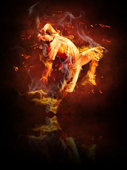 Similar image 163755