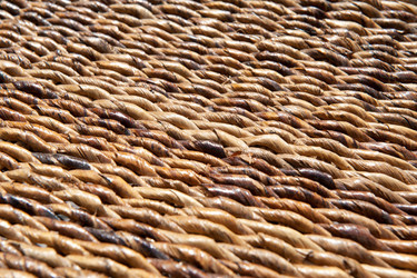 Similar image 163764