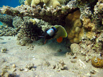 Similar image 163791