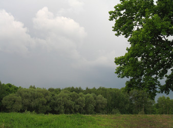 Similar image 163797