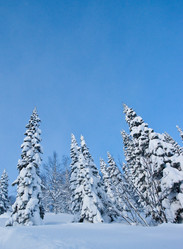 Similar image 163799