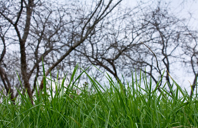 Similar image 163816