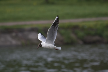 Similar image 163857