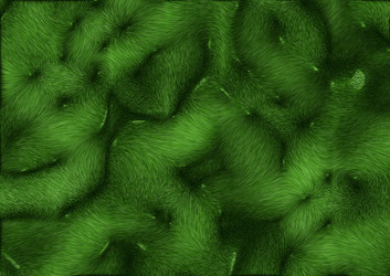 Similar image 163921