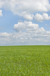 Similar image 163937