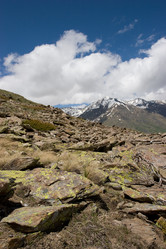 Similar image 163972