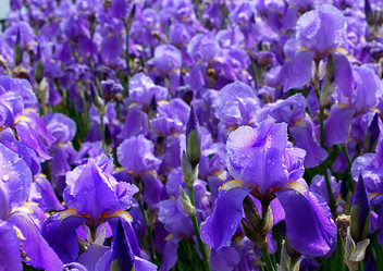 Similar image 163985