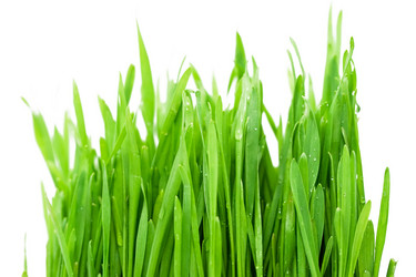 Similar image 163987