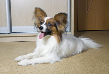 Similar image 163993