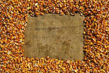 Similar image 164055