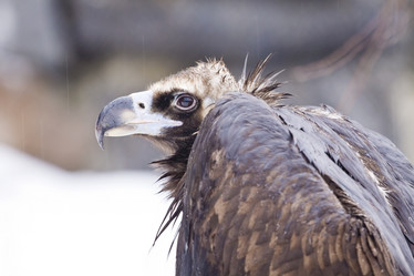 Similar image 164195