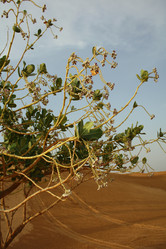 Similar image 164226