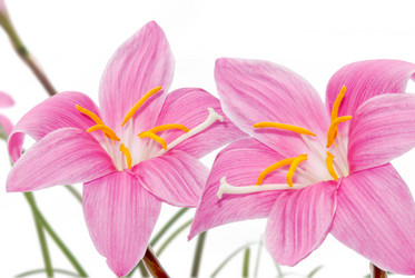 Similar image 164260