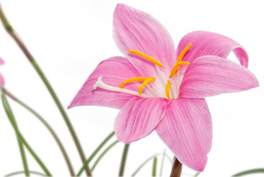 Similar image 164262