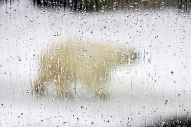 Similar image 164274