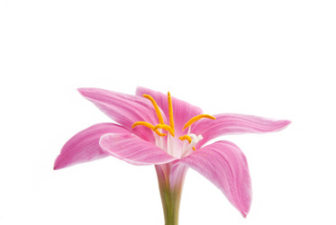 Similar image 164279