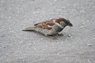 Similar image 164288