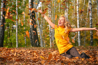 Similar image 164312