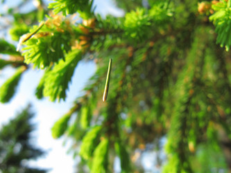 Similar image 164453