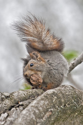 Similar image 164456