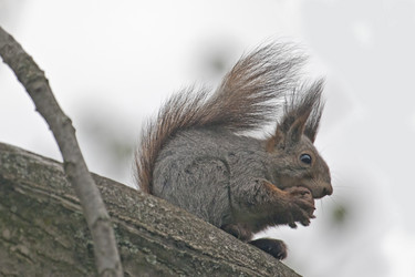 Similar image 164457