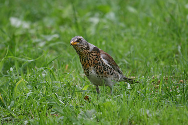 Similar image 164459