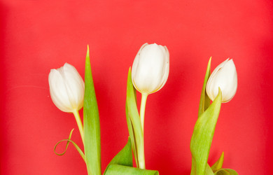 Similar image 164476