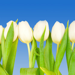 Similar image 164478